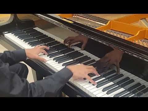 YouTube thumbnail for Liszt Transcendental Etude 7, Eroica