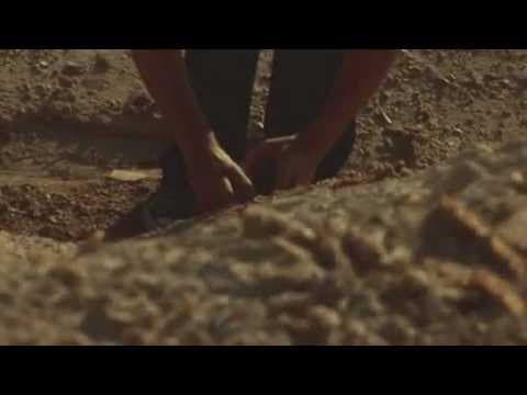 YouTube thumbnail for Mars Red Sky - Strong Reflection