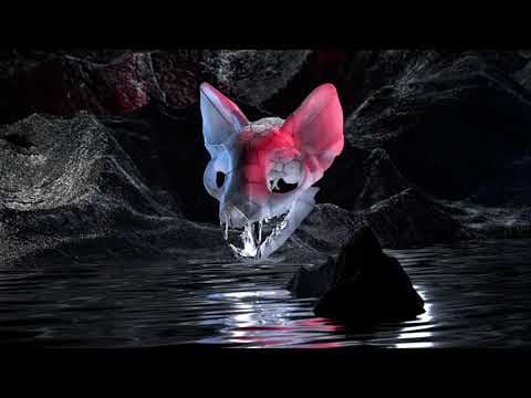 YouTube thumbnail for Darci - Wild Horse (Official)