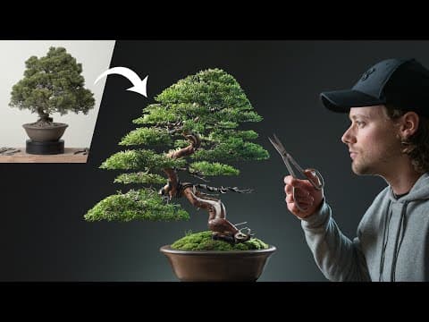 YouTube thumbnail for [18:10] A hyper-analytical guy fixing a bonsai tree