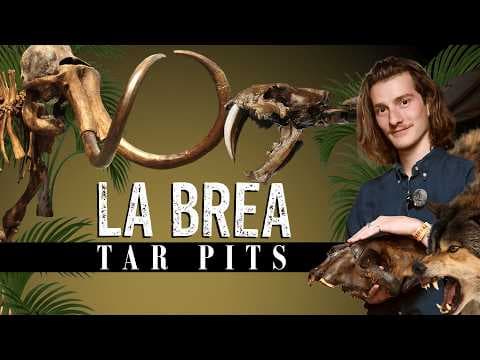YouTube thumbnail for Inside The World's Most Unusual Fossil Site - The La Brea Tar Pits (Feat. Lindsay Nikole) [38:38] by Miniminuteman