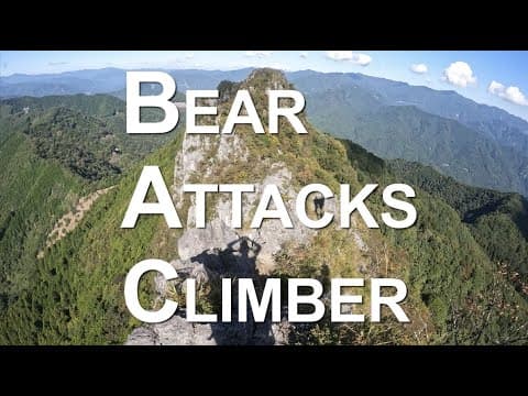 YouTube thumbnail for Japanese mountain climber attacked by bear