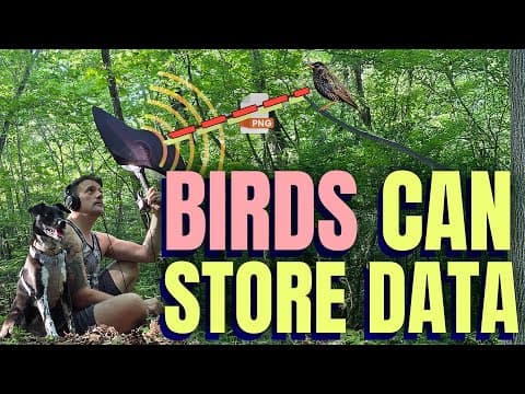 YouTube thumbnail for I saved a PNG image to a bird