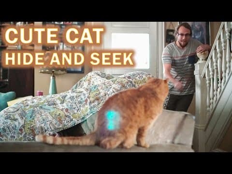 YouTube thumbnail for Cat playing peek a boo from it's couch fort