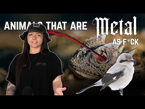 YouTube thumbnail for Animals that are METAL AS F*CK