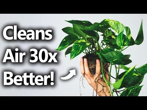 YouTube thumbnail for Giving your house plants genetically enhanced super powers