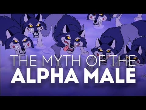 YouTube thumbnail for The Myth of the Alpha Male [31:37]