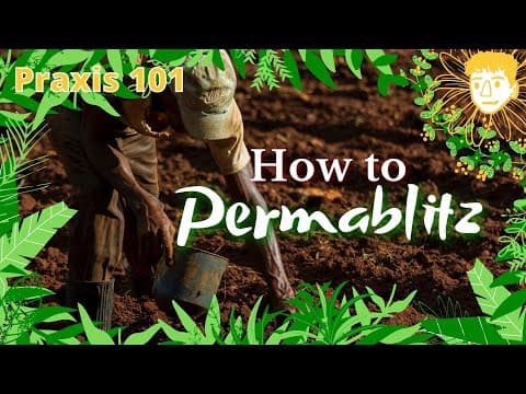 YouTube thumbnail for A Guide to permablitz