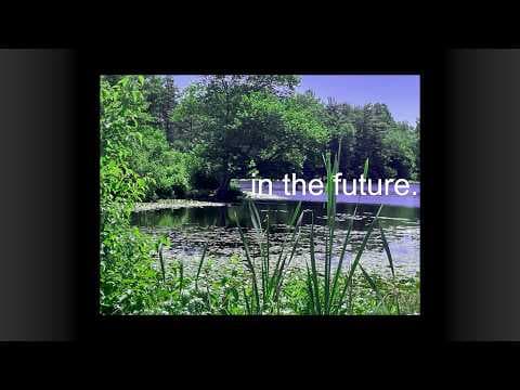 YouTube thumbnail for in the future | bill wurtz