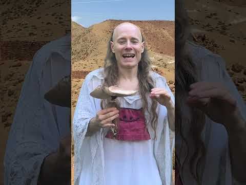 YouTube thumbnail for Projektwoche GOA - Es sind die Aliens