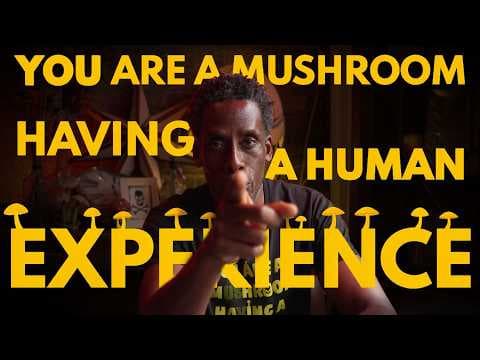 YouTube thumbnail for You are a mushroom having a human experience