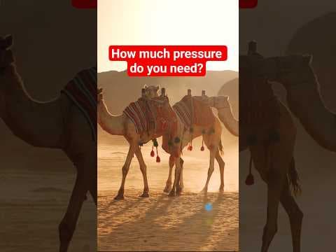 YouTube thumbnail for Passing a Camel through the eye of a needle -The Thought Emporium [02:22]