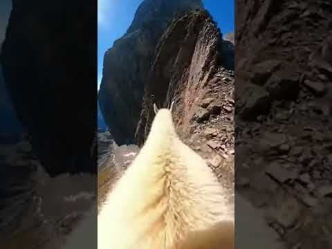 YouTube thumbnail for POV: You're a mountain goat.