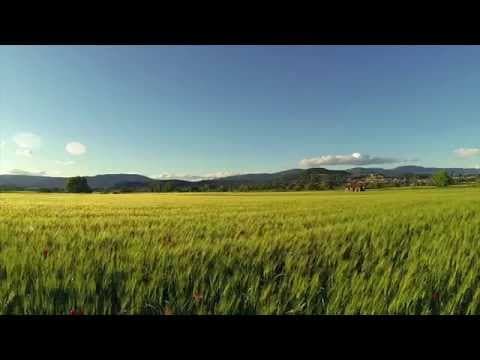 YouTube thumbnail for [Norwegian][Folk | Indie Pop] Siri Nilsen - Utenat