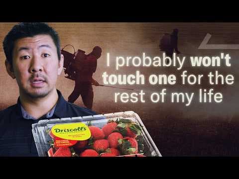 YouTube thumbnail for I Tracked Down the Company Ruining Fruit