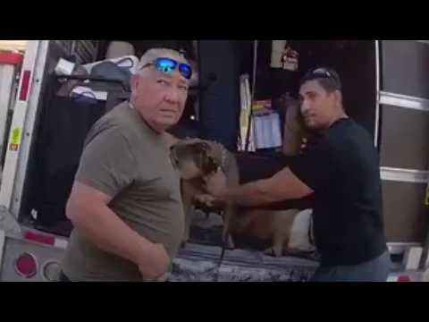 YouTube thumbnail for Florida men arrested after dogs found suffering in 102-degree U-Haul, deputies say
