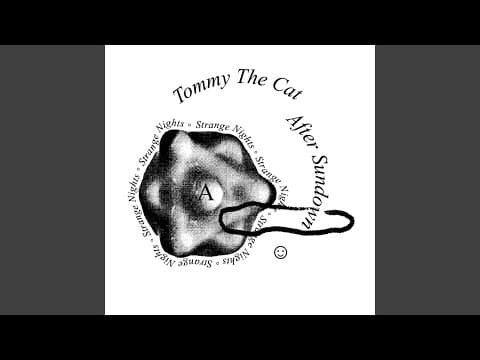 YouTube thumbnail for Boulevard of Broken Dreams, by Tommy the Cat