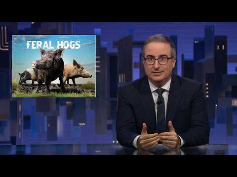YouTube thumbnail for Feral Hogs: Last Week Tonight [27:15]