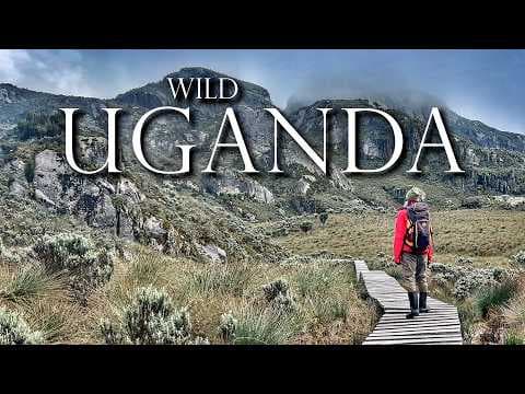 YouTube thumbnail for Uganda’s Hidden Wild: 5 Days in Africa’s Surreal Alpine Wilderness | CYCLINGABOUT