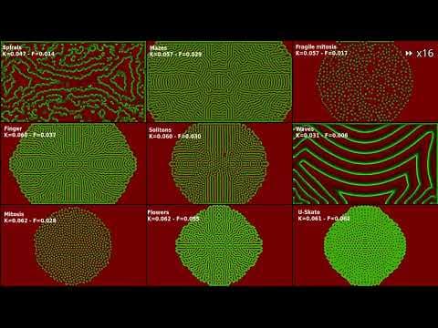 YouTube thumbnail for Complex (and trippy) patterns emerging from a simple chemical system simulation