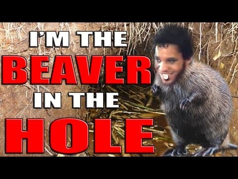 YouTube thumbnail for I'm The Beaver In The Hole