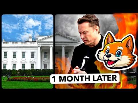 YouTube thumbnail for 1 Month in: How is DOGE doing?
