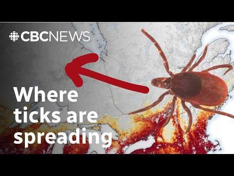 YouTube thumbnail for CBC - Ticks are showing up in places where they didn’t use to