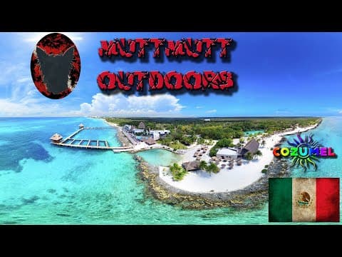 YouTube thumbnail for Eagle Ray and Barracuda in Cozumel.