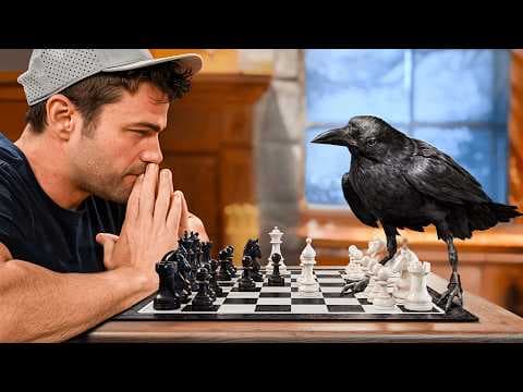 YouTube thumbnail for Crow Challange