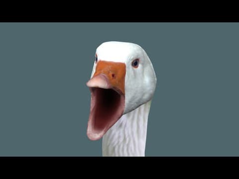 YouTube thumbnail for HONK