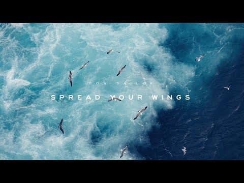 YouTube thumbnail for Fox Sailor - Spread your Wings