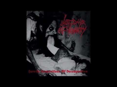 YouTube thumbnail for LAST DAYS OF HUMANITY - Horrific Compositions of Decomposition (2021)