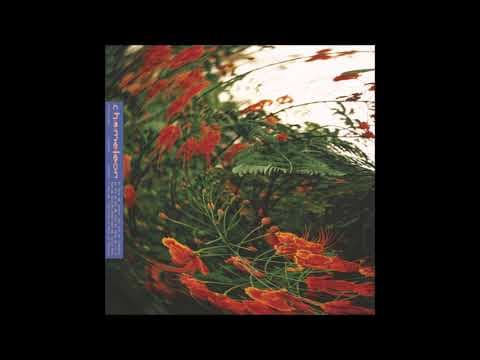 YouTube thumbnail for Anthony Naples - Chameleon (2021)