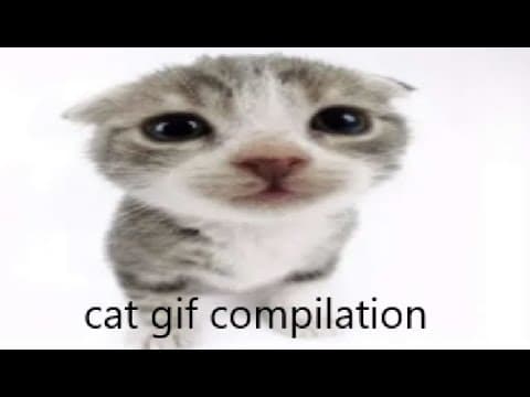 YouTube thumbnail for youtube test