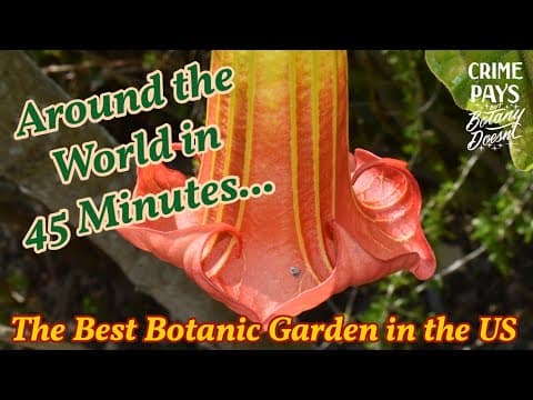 YouTube thumbnail for Around the World in 45 Minutes : The Best Botanic Garden in the US