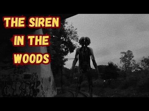 YouTube thumbnail for The Siren in the Woods - YouTube