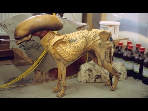 YouTube thumbnail for The alien dog