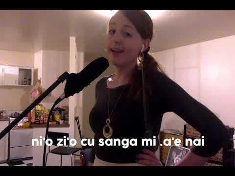 YouTube thumbnail for Rachel Gardener - Sruri Falo Tarci [pop/light prog-rock/sung in Lojban] (2019) (translation is in the YT page)