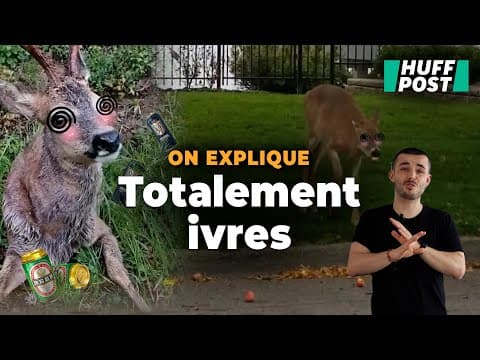 YouTube thumbnail for Mer, terre ... Un monde vivant que l’on ne perçoit pas