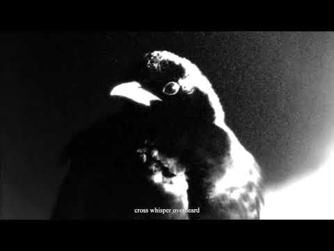 YouTube thumbnail for MG x CD + JL = - Cross Whisper (2026) [Mute, Martin Gore, dark electronic]