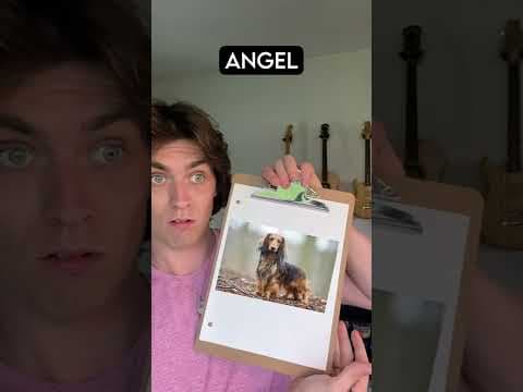 YouTube thumbnail for God Makes Dachshunds
