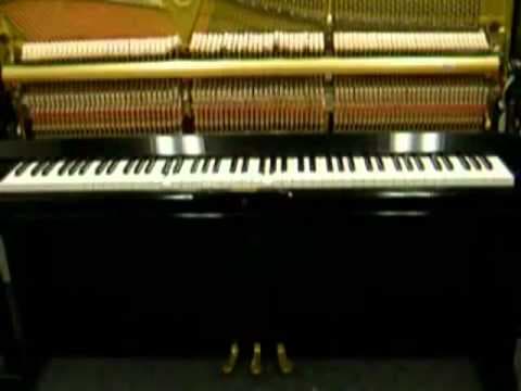 YouTube thumbnail for Circus Galop by Mark-André Hamelin