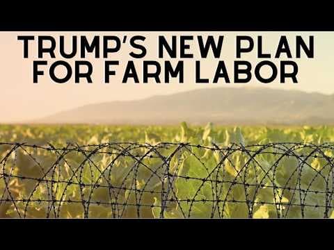 YouTube thumbnail for ICE Raids Are Only Half The Story