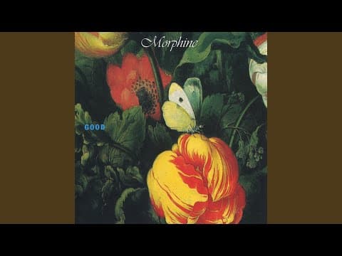 YouTube thumbnail for Morphine - You Look Like Rain : Good (1992)