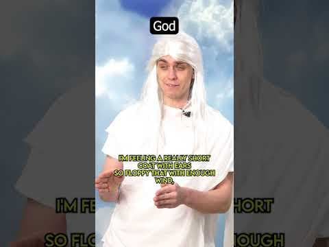 YouTube thumbnail for God Makes Vizslas